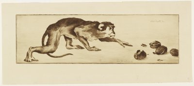 Monkey and Chestnuts, 19th Century by Henri Charles Guérard